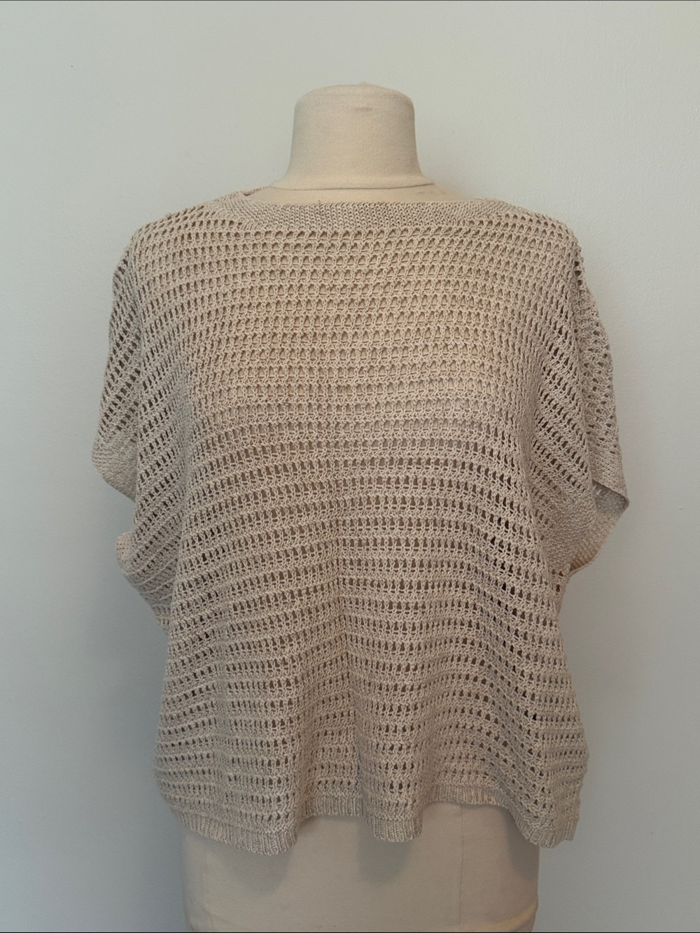 Max Studio Open-Weave Crochet Pullover in Light Beige
